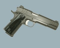 SIS Custom.jpg